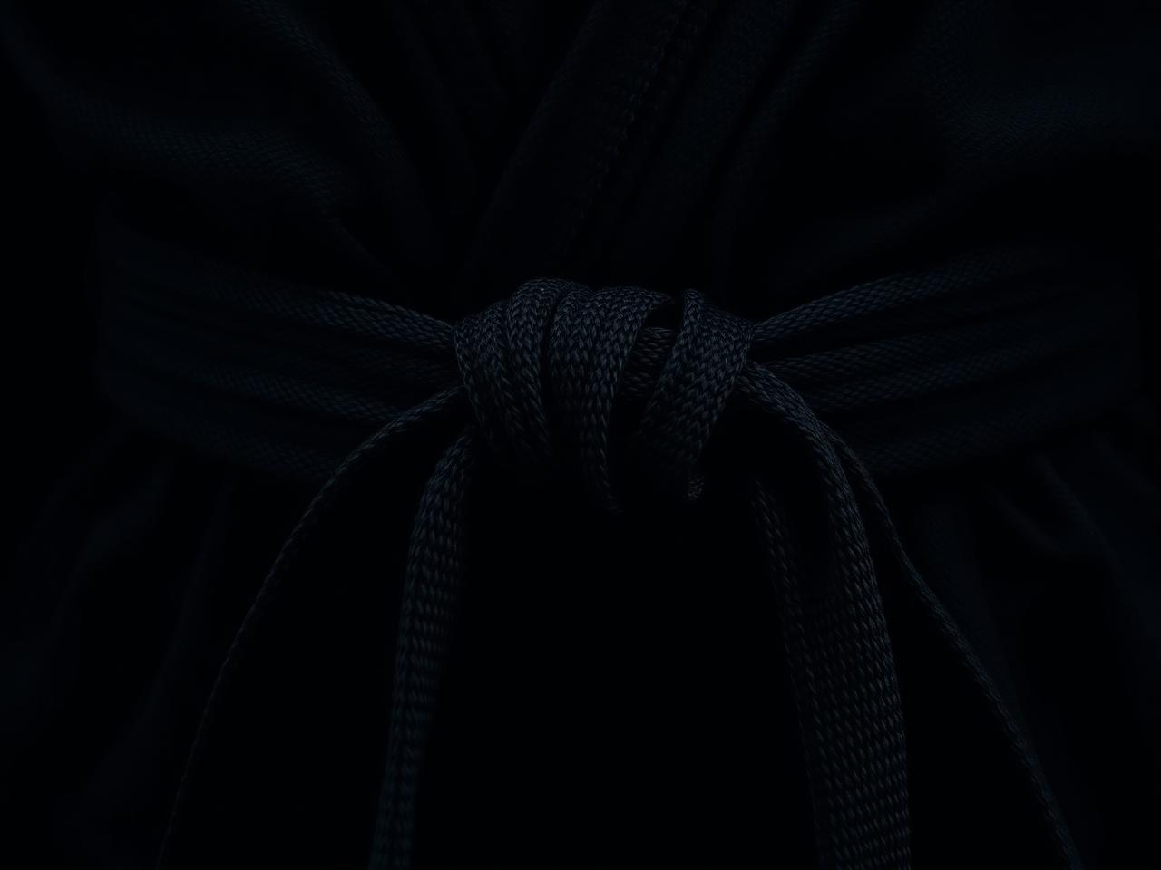 Dojo